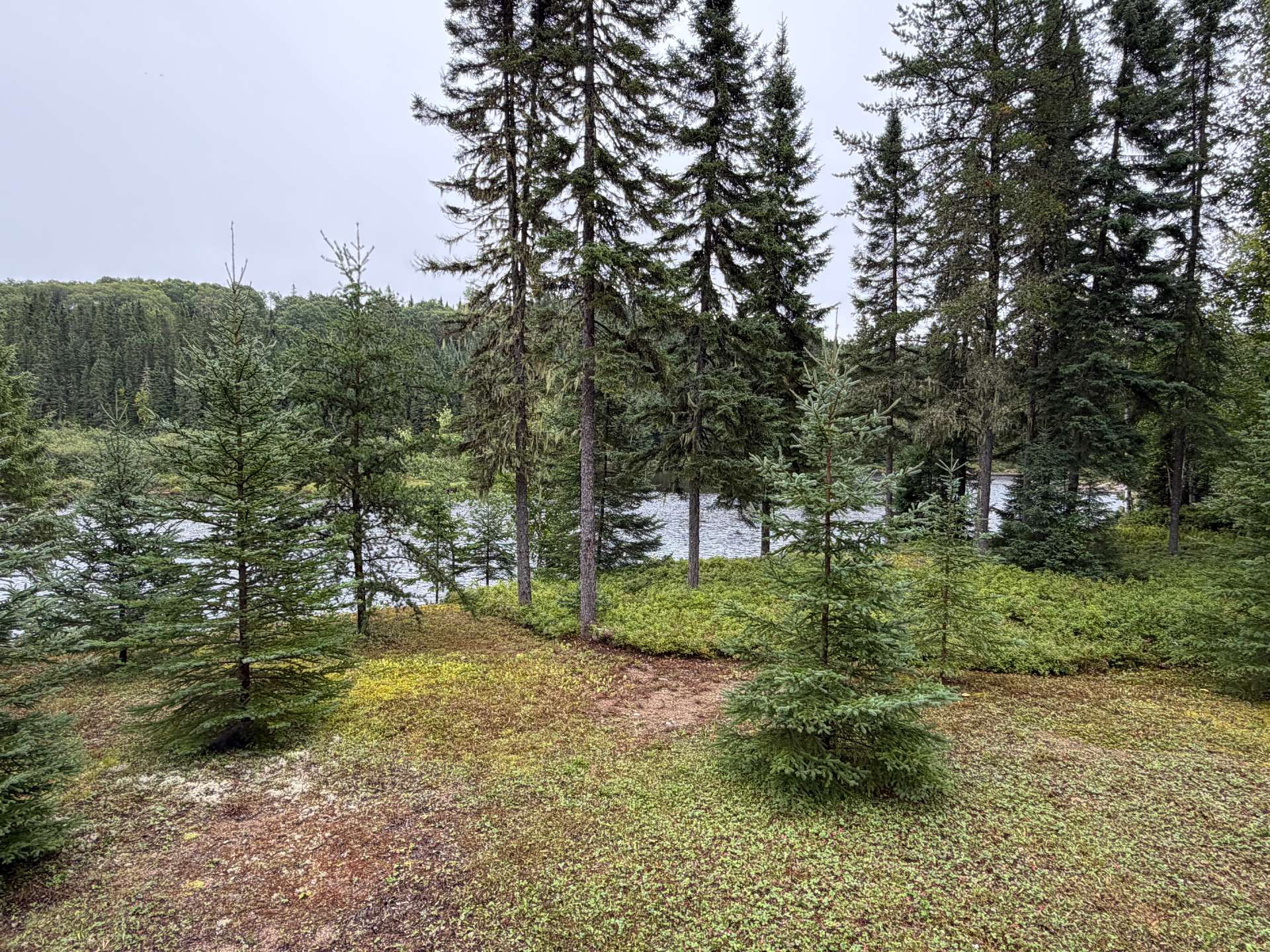 Land/Lot