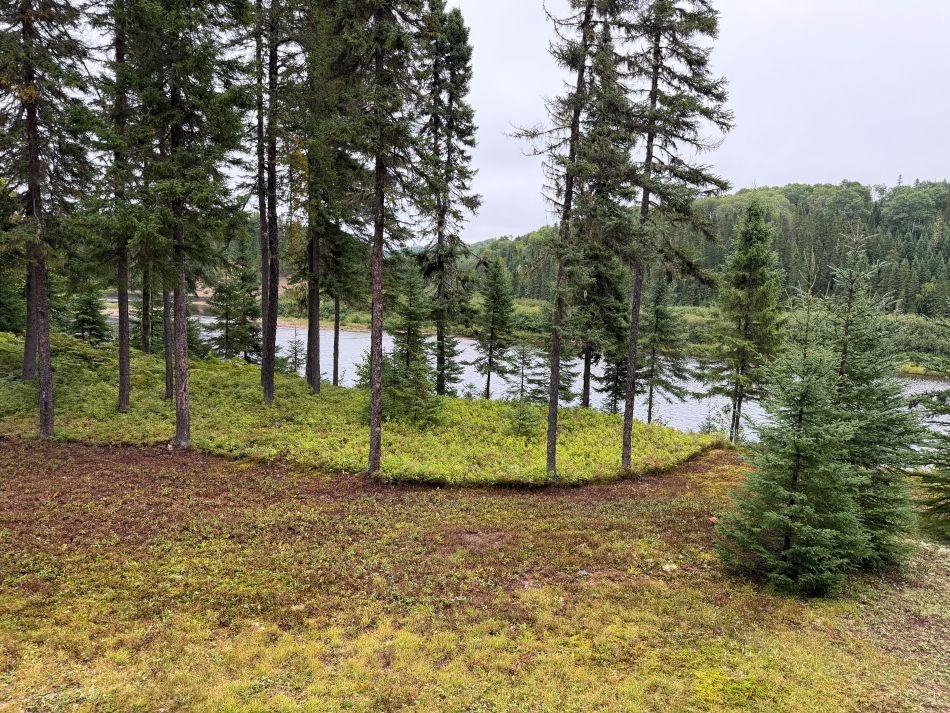 Land/Lot