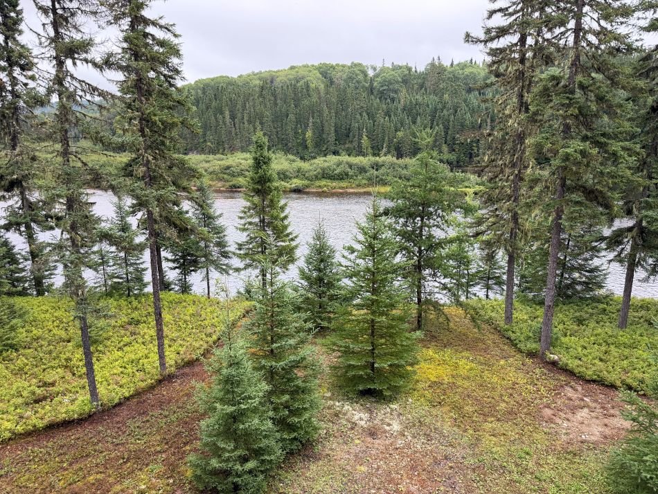 Land/Lot