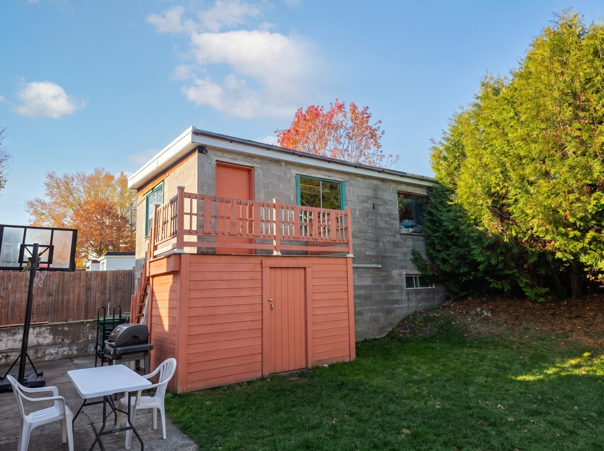 Backyard