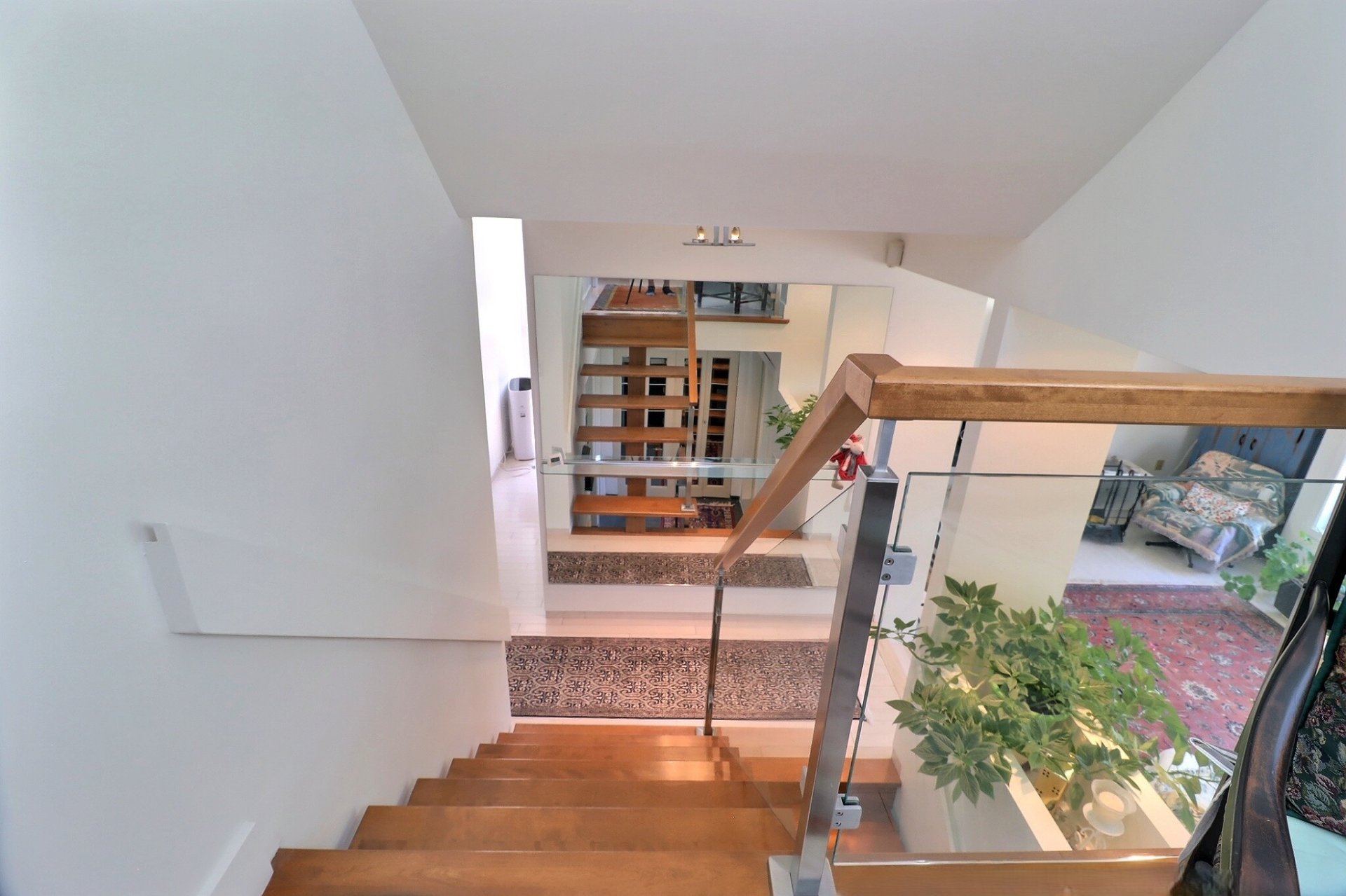 Overall View