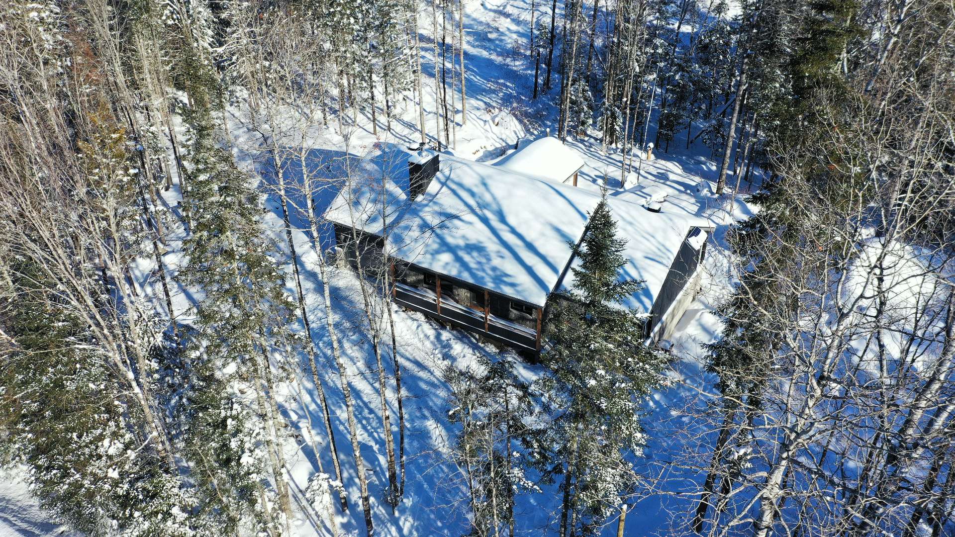 Aerial photo
