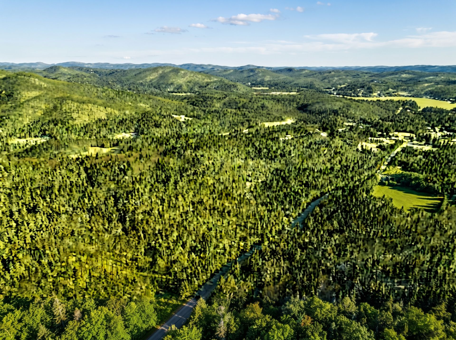 Aerial photo