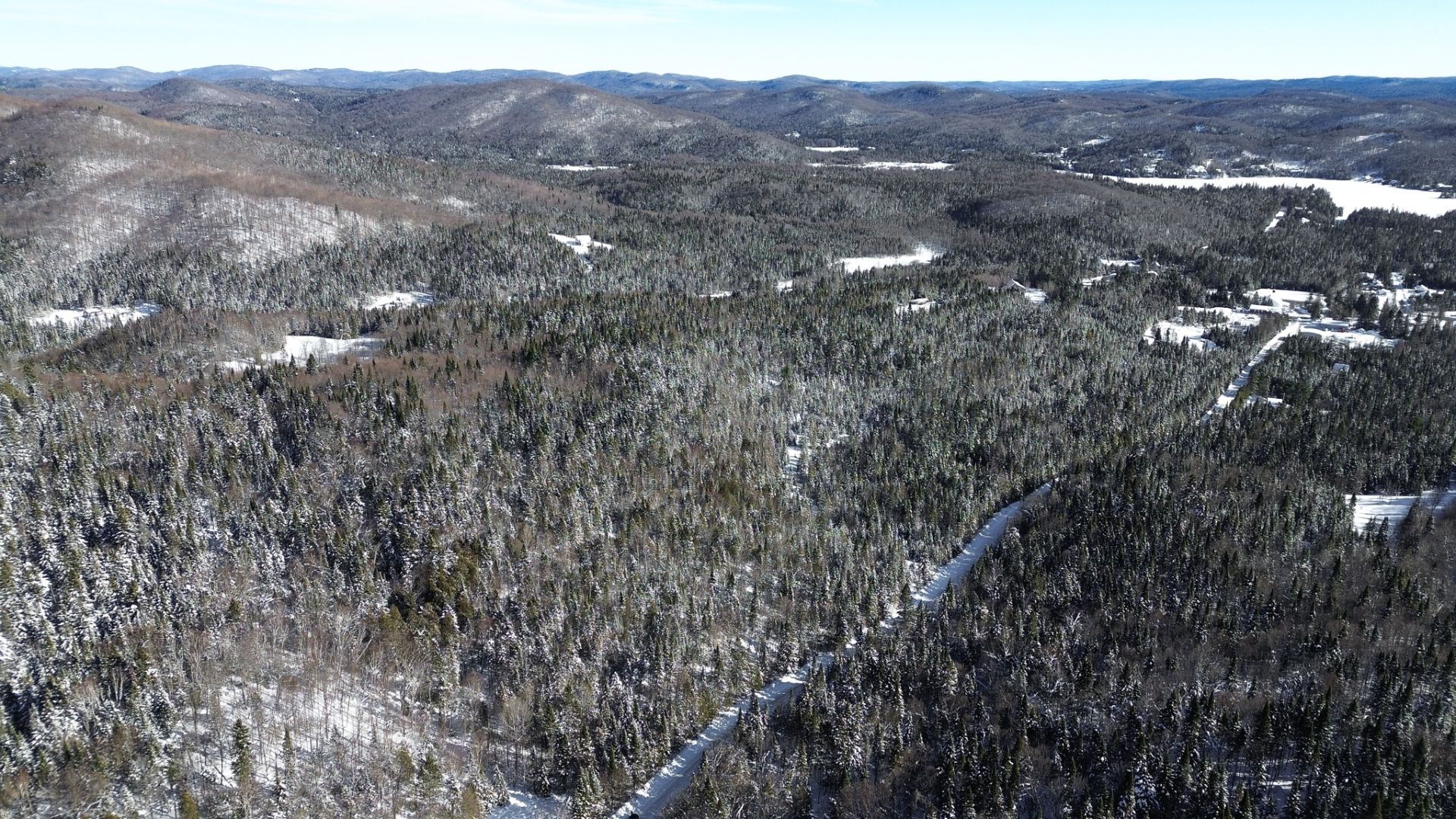 Aerial photo