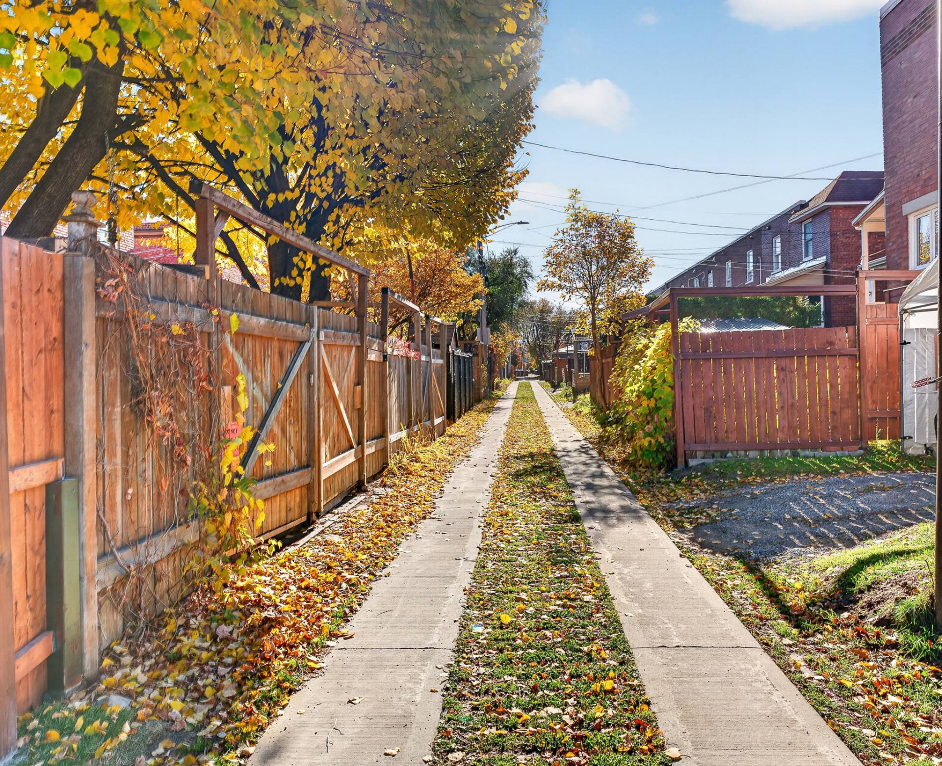 Ruelle