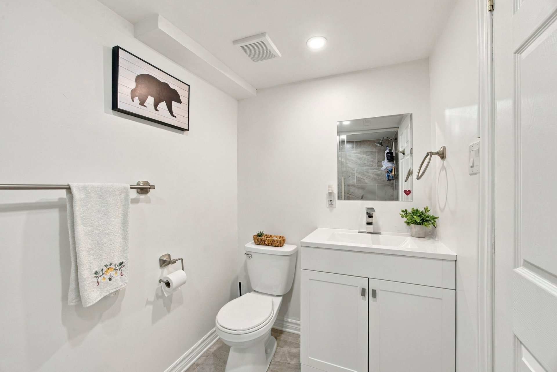 Basement bachelor