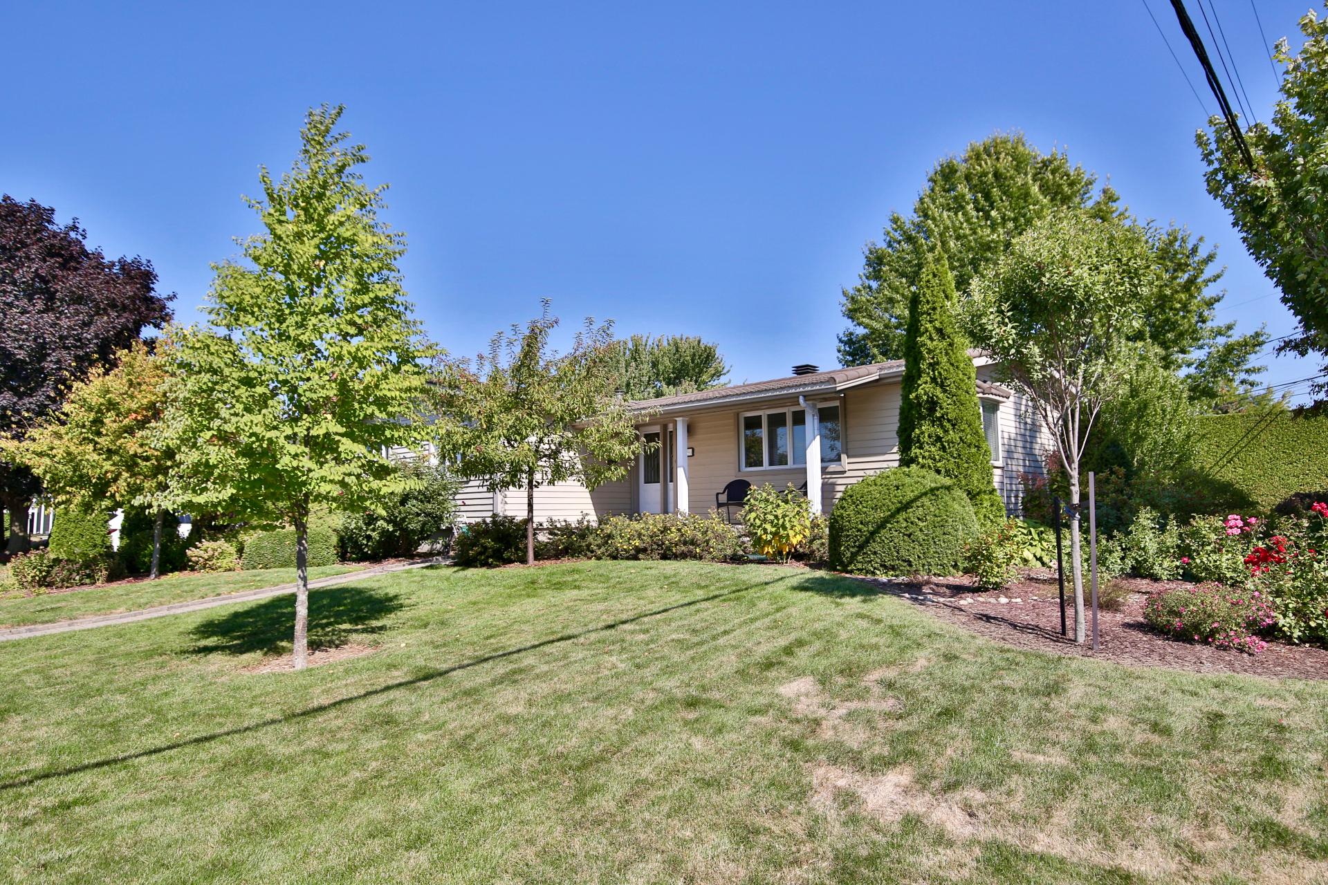 Vue d'ensemble en été