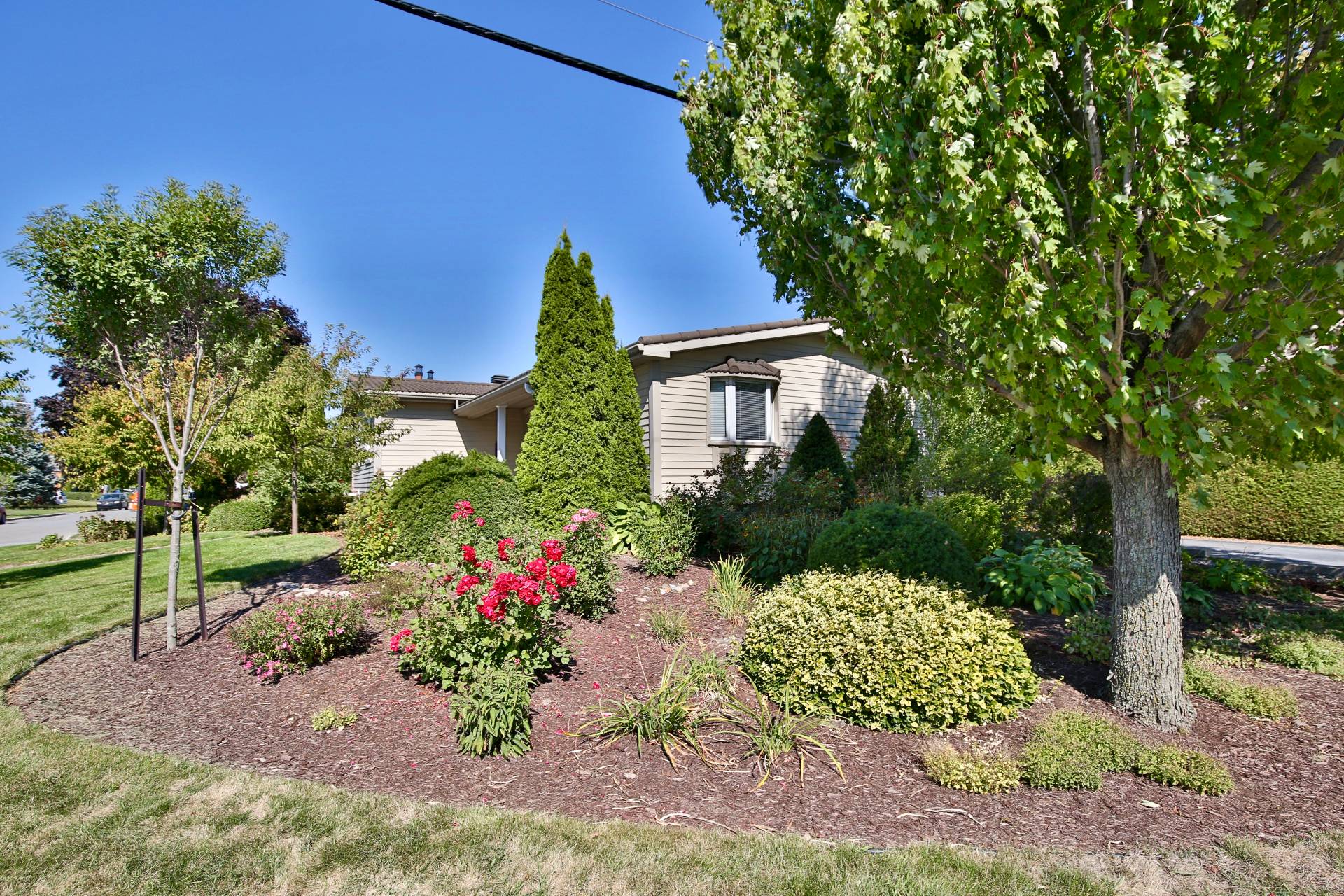 Vue d'ensemble en été