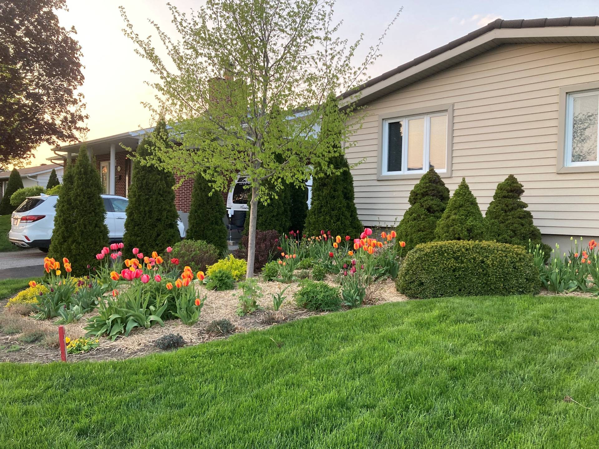 Vue d'ensemble en été