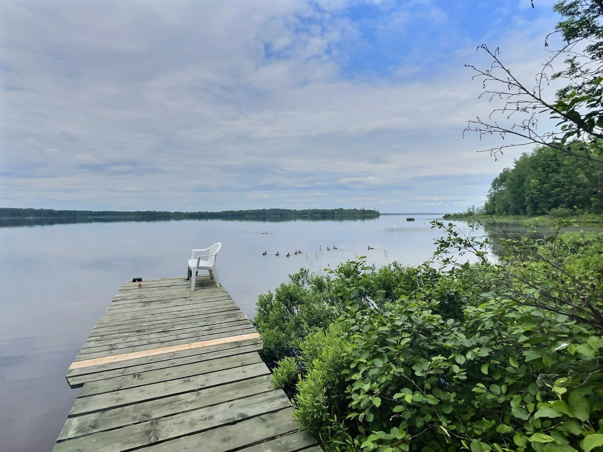 Water view