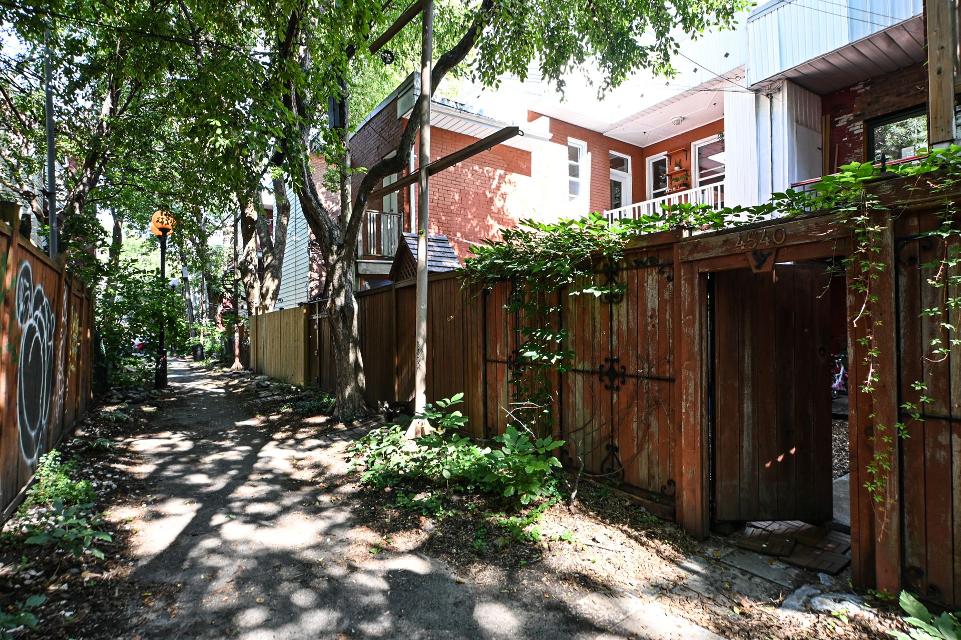 ruelle