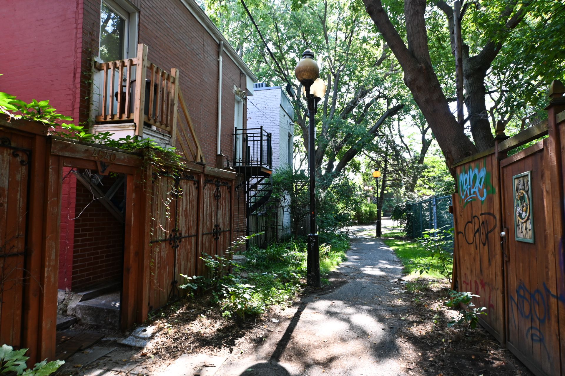 ruelle