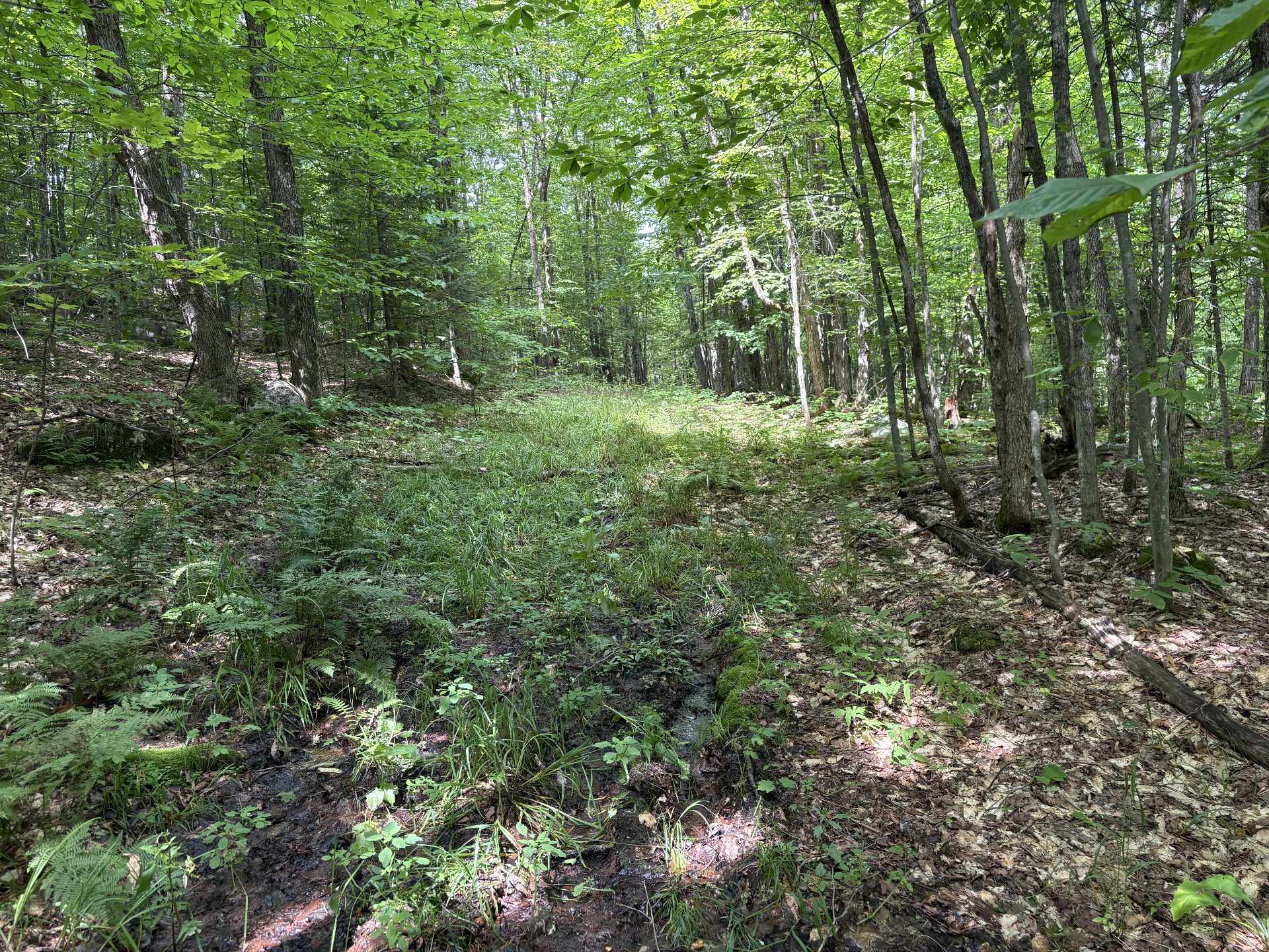 Chemin menant au fond de la terre