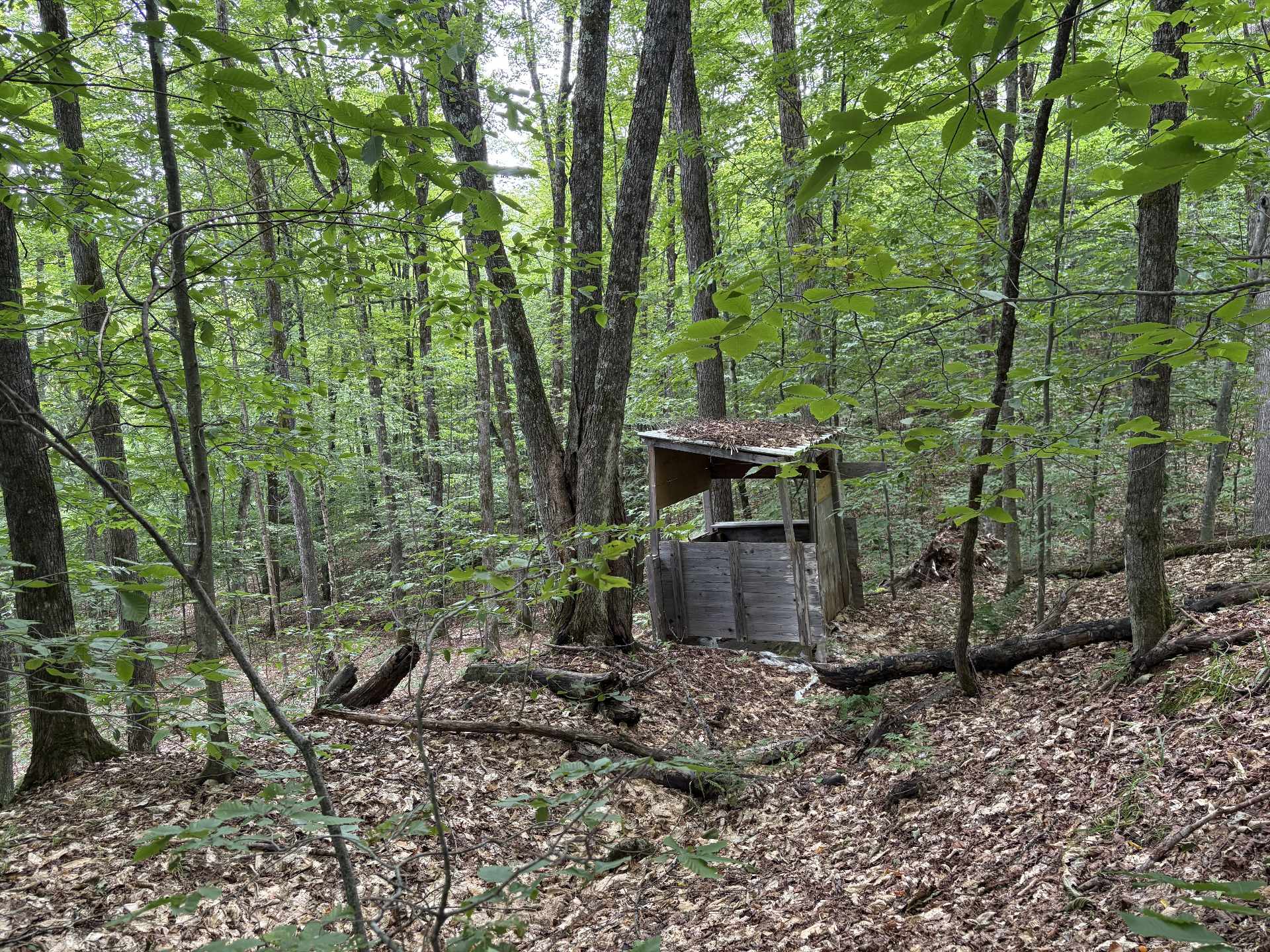 Cache de chasse