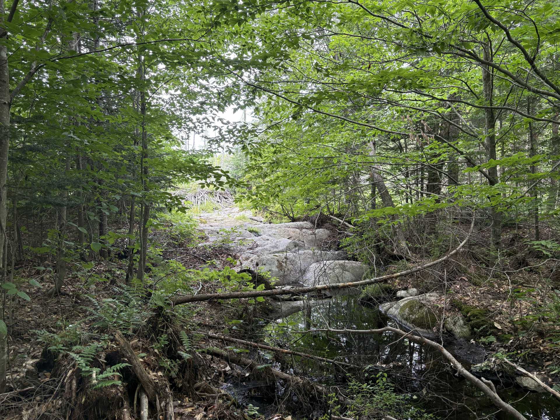 Ancienne chute