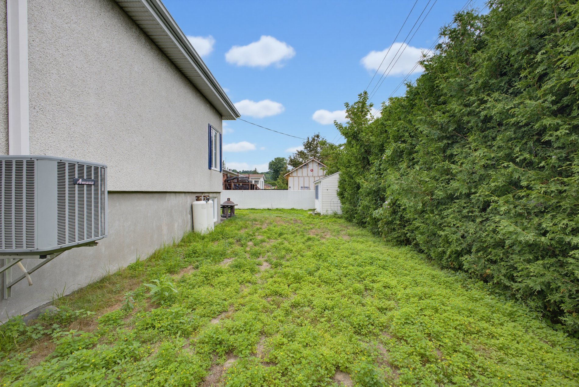 Backyard