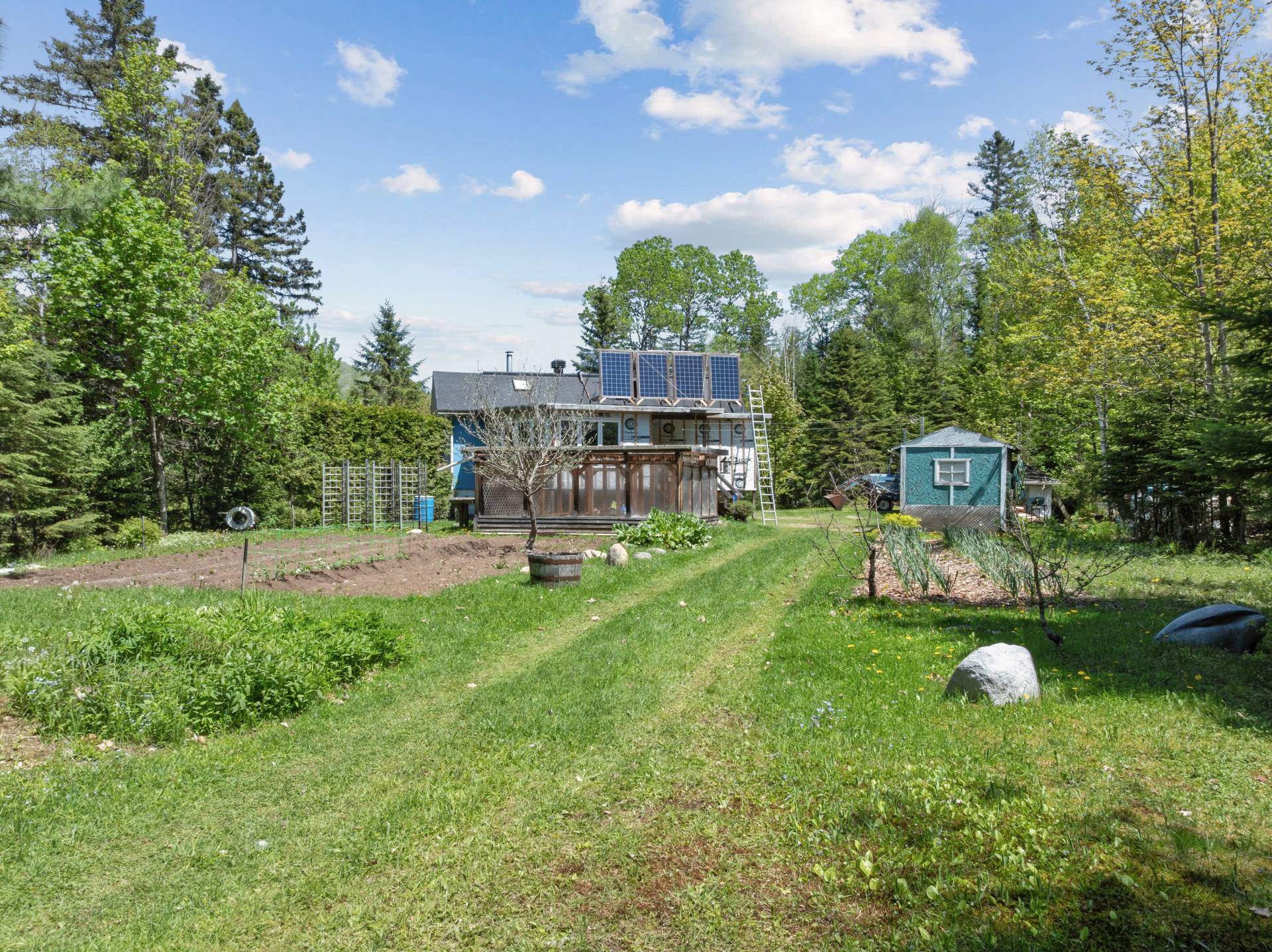 Backyard