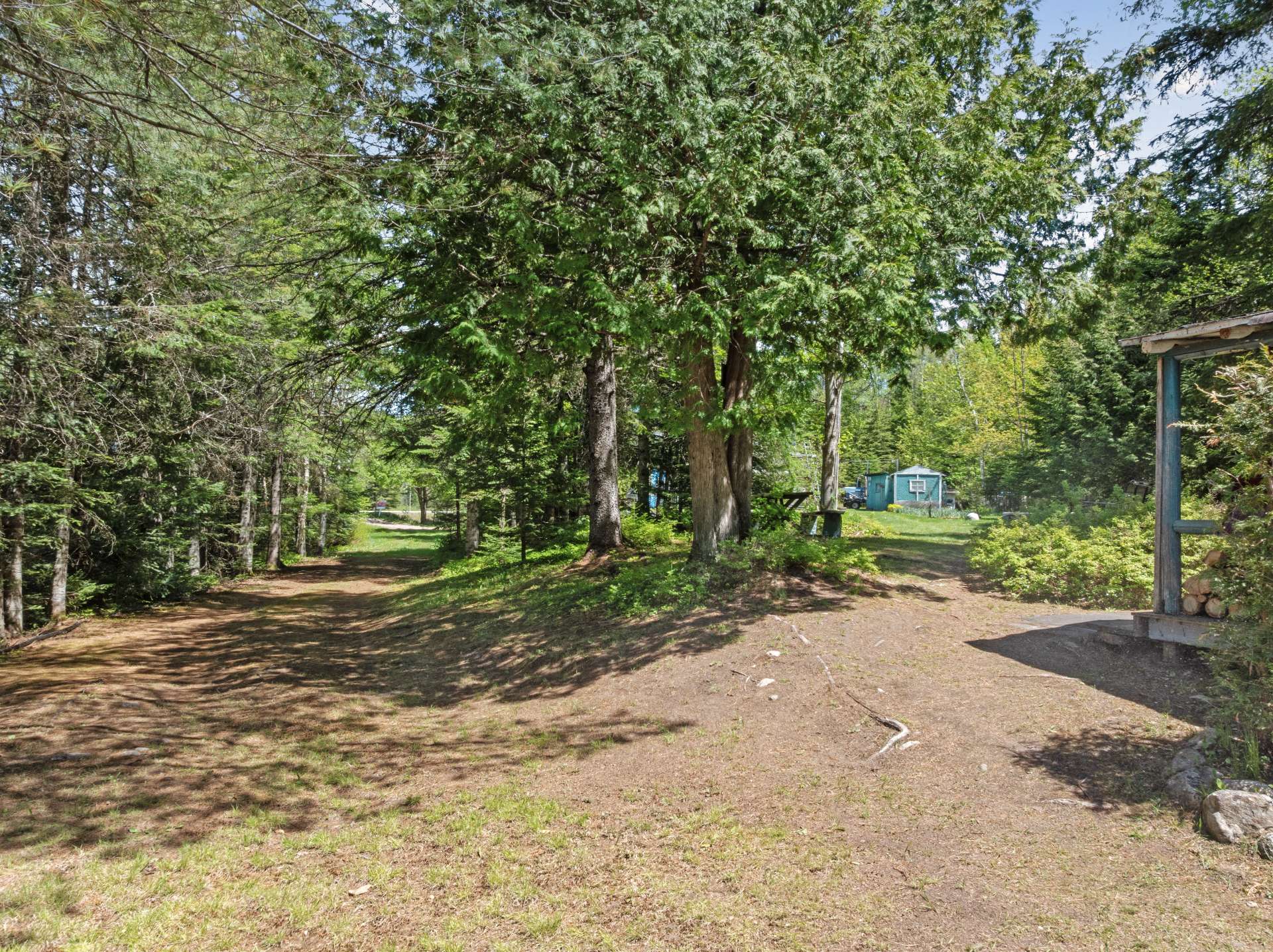 Backyard