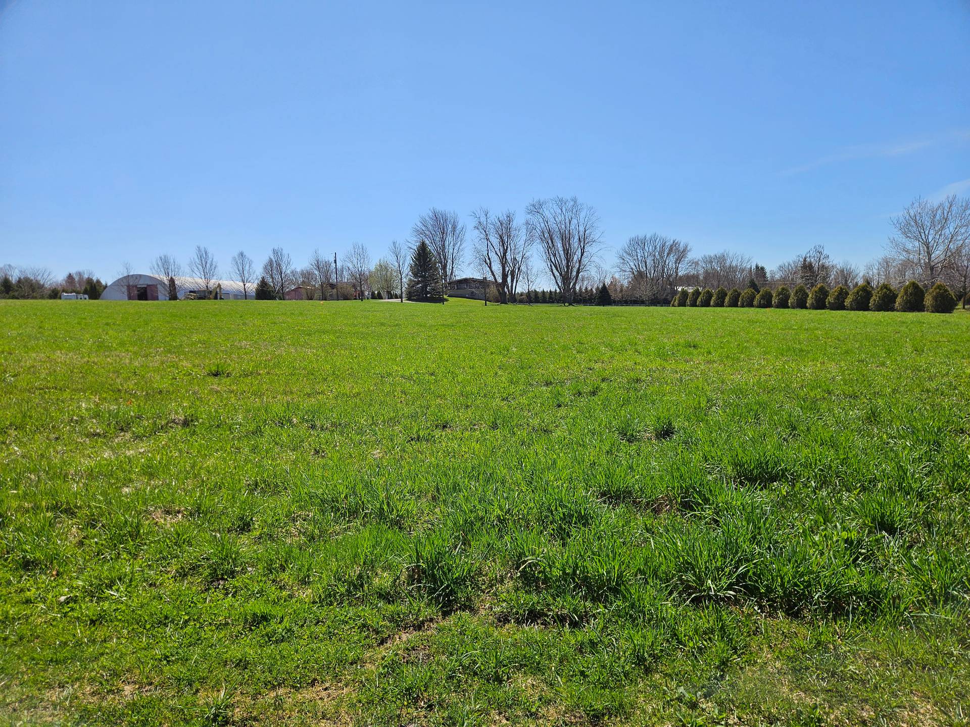 Land/Lot