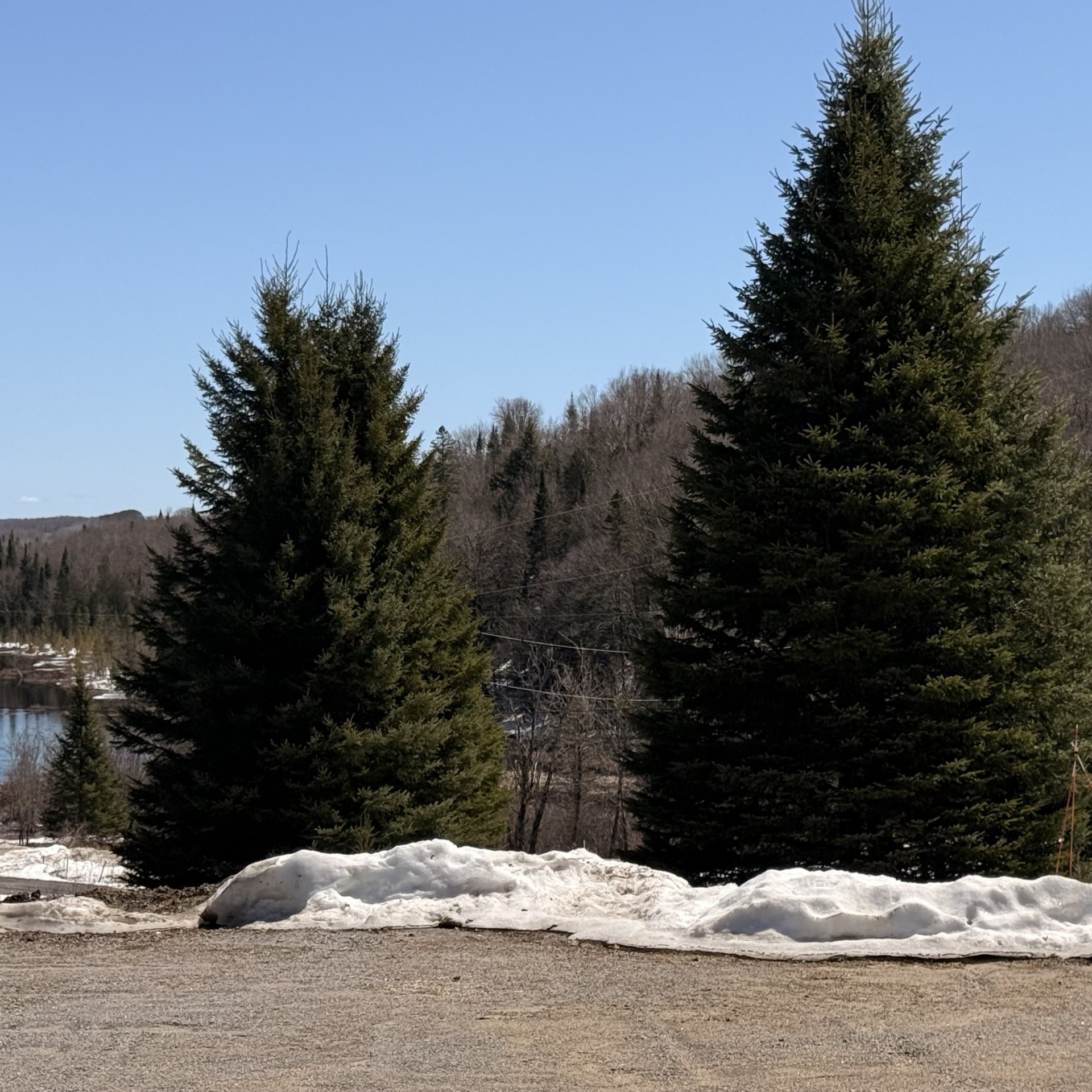 Terre/Terrain