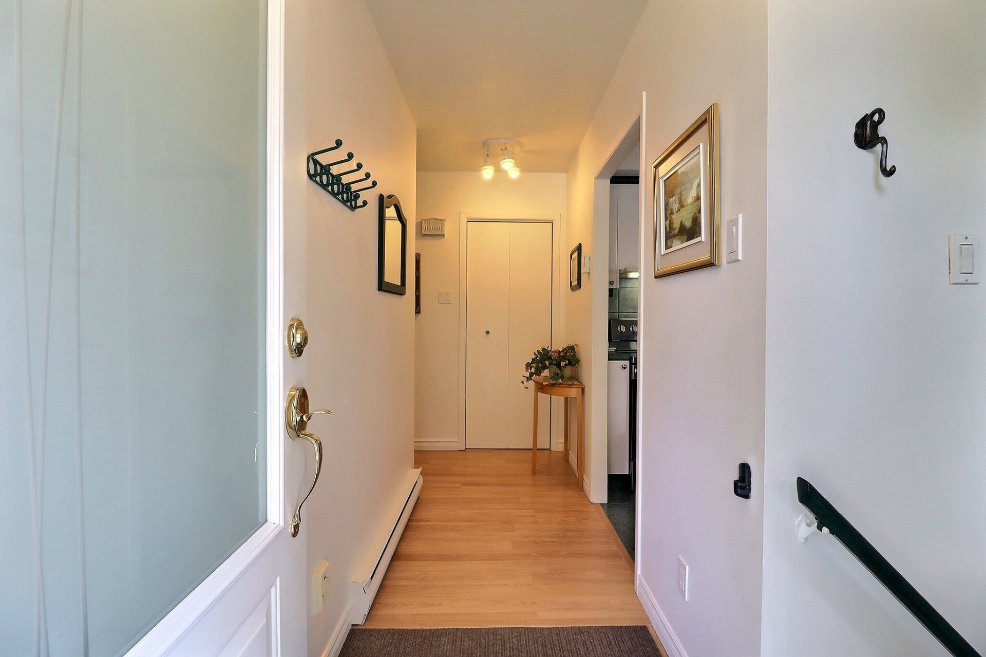 Hall d'entrée/Vestibule