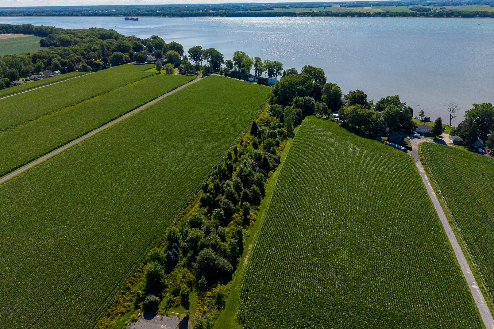 Aerial photo