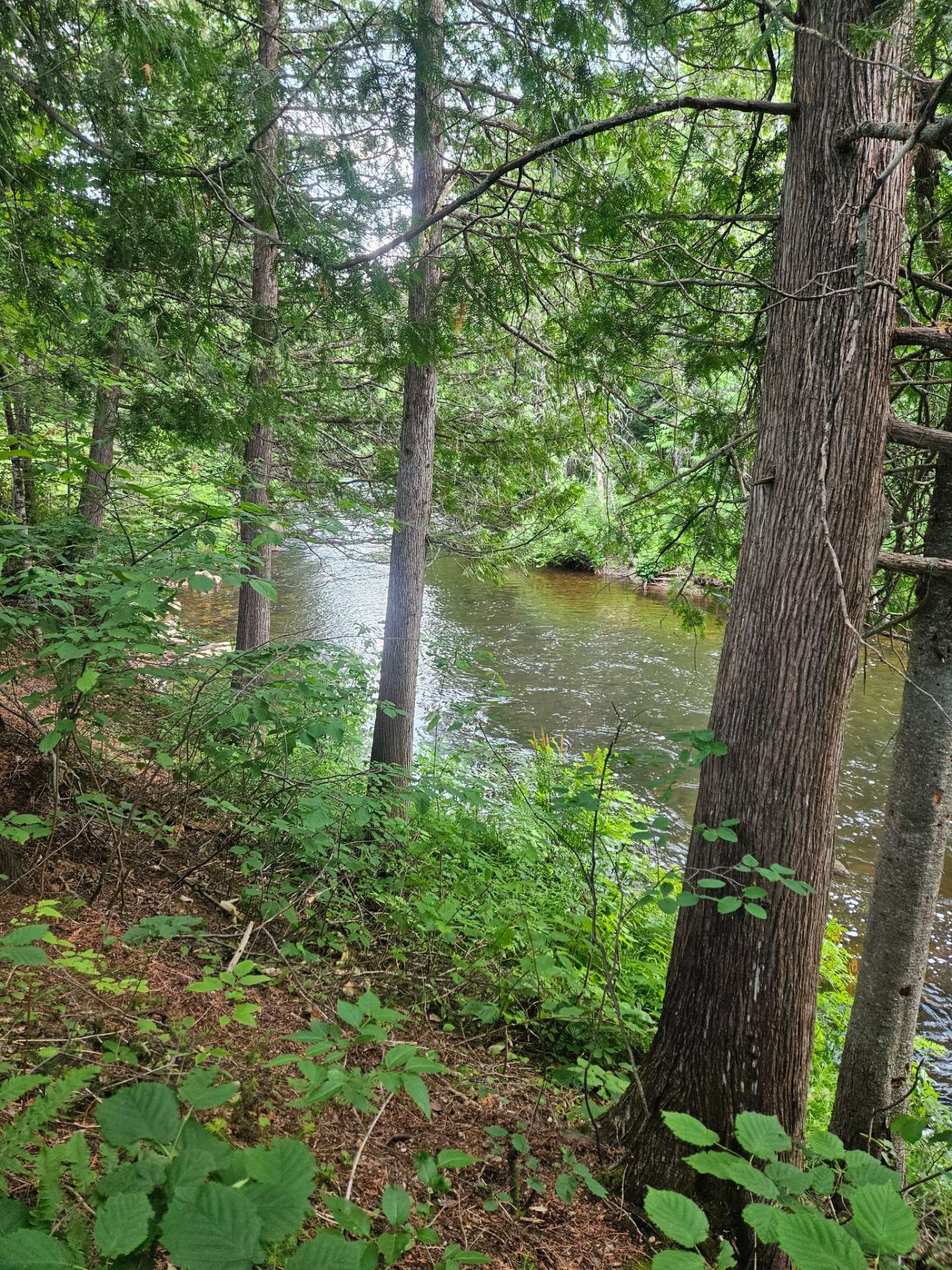 Accès au plan d'eau