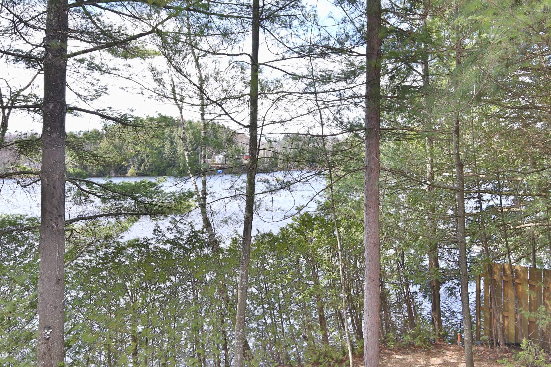 Vue sur l'eau