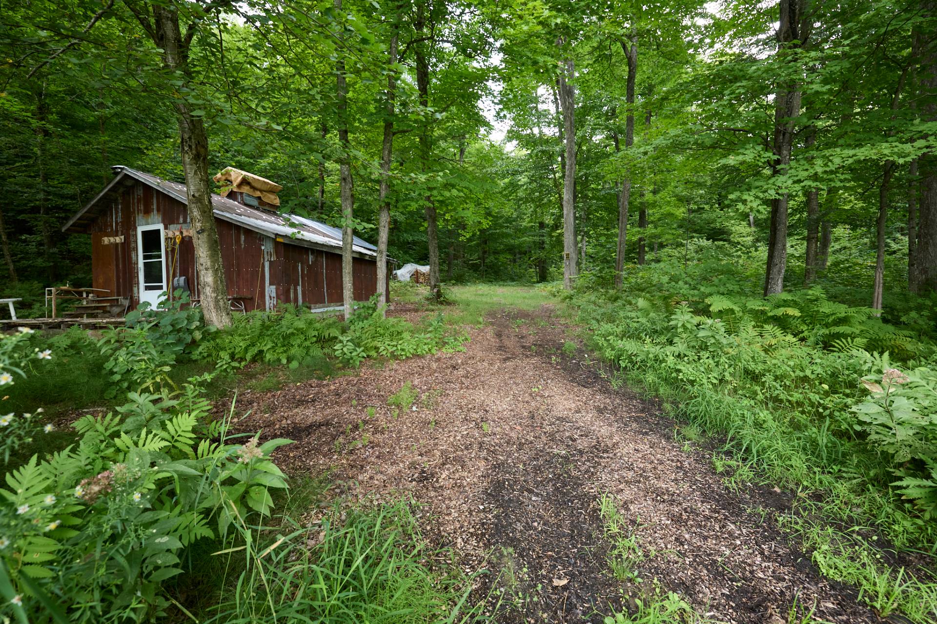 Cabane à sucre