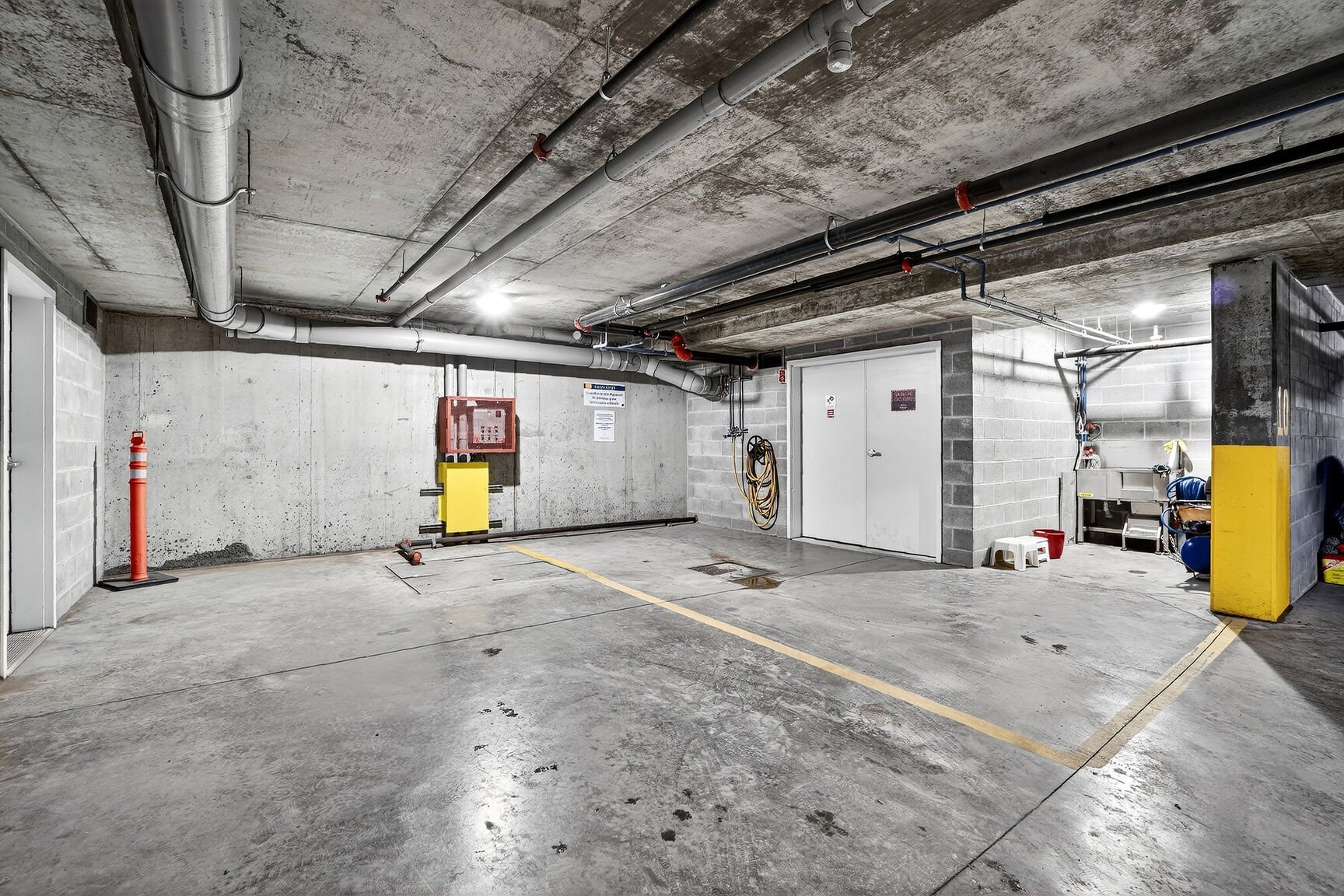 Station lave-auto + toilettage