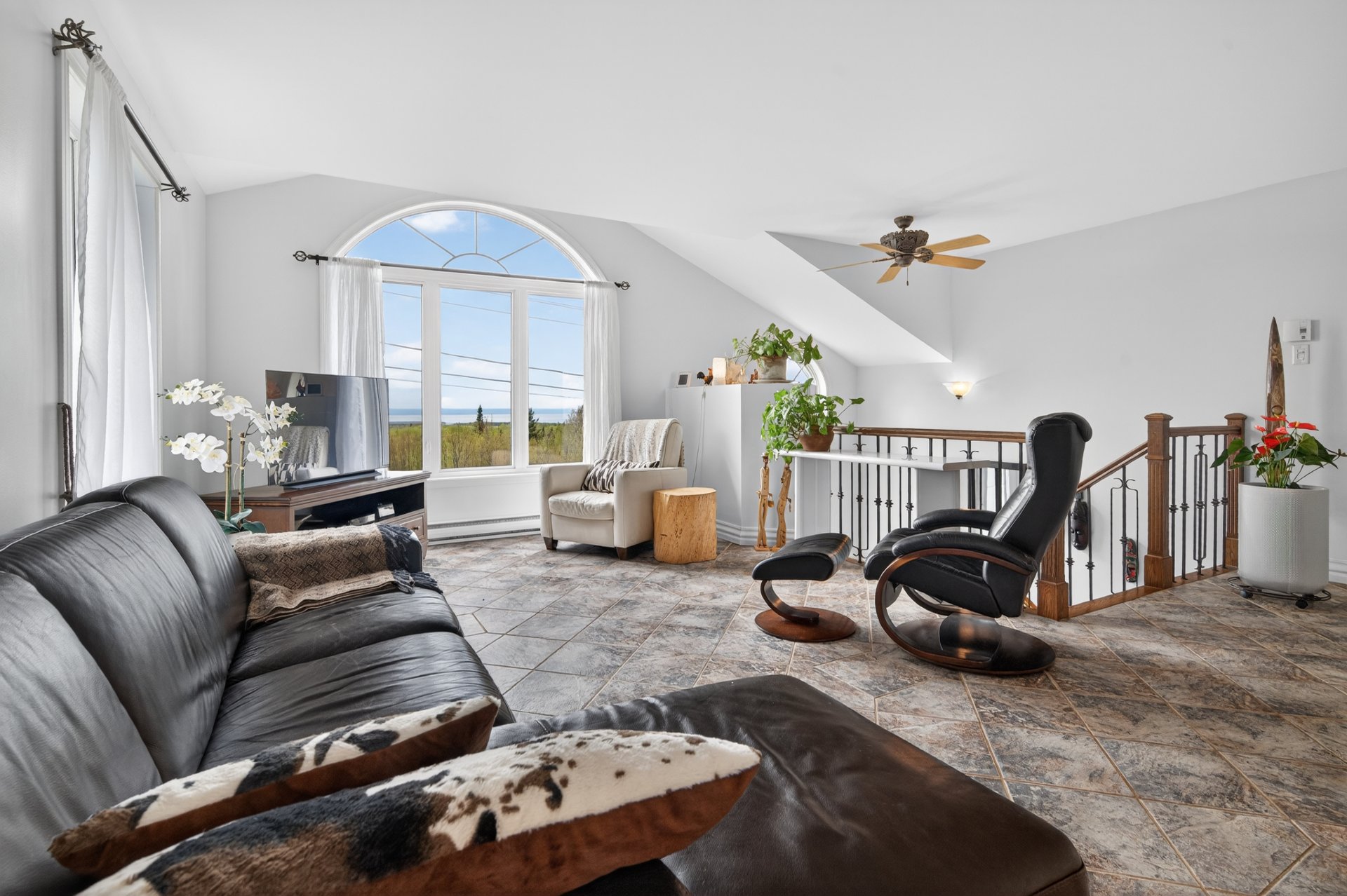 Vaste salon avec vue panoramique