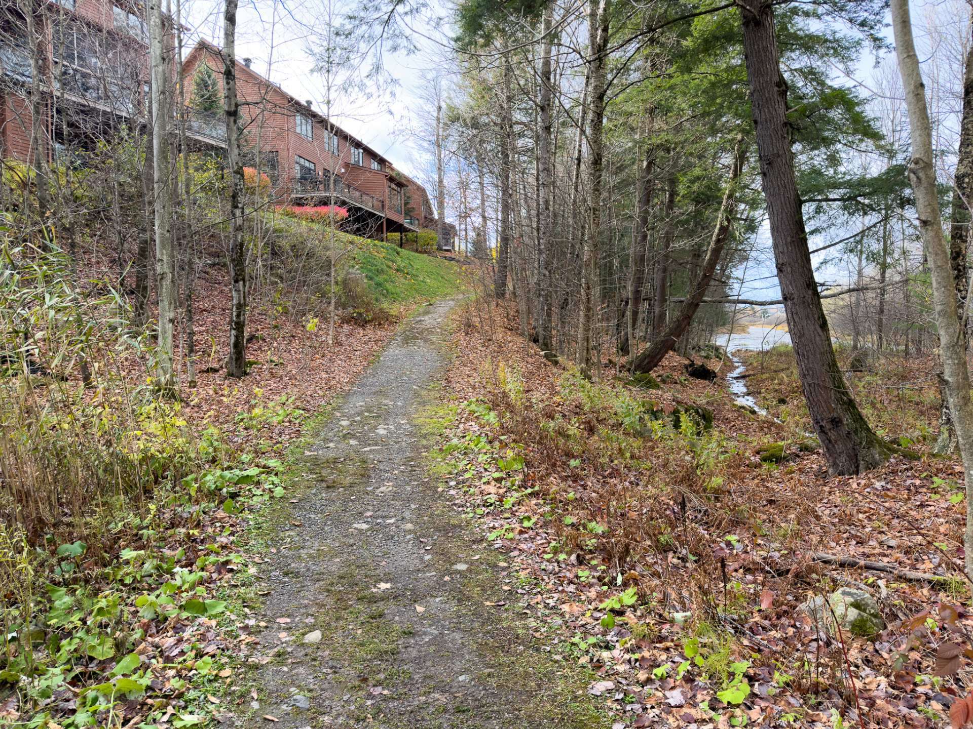 Wooded area