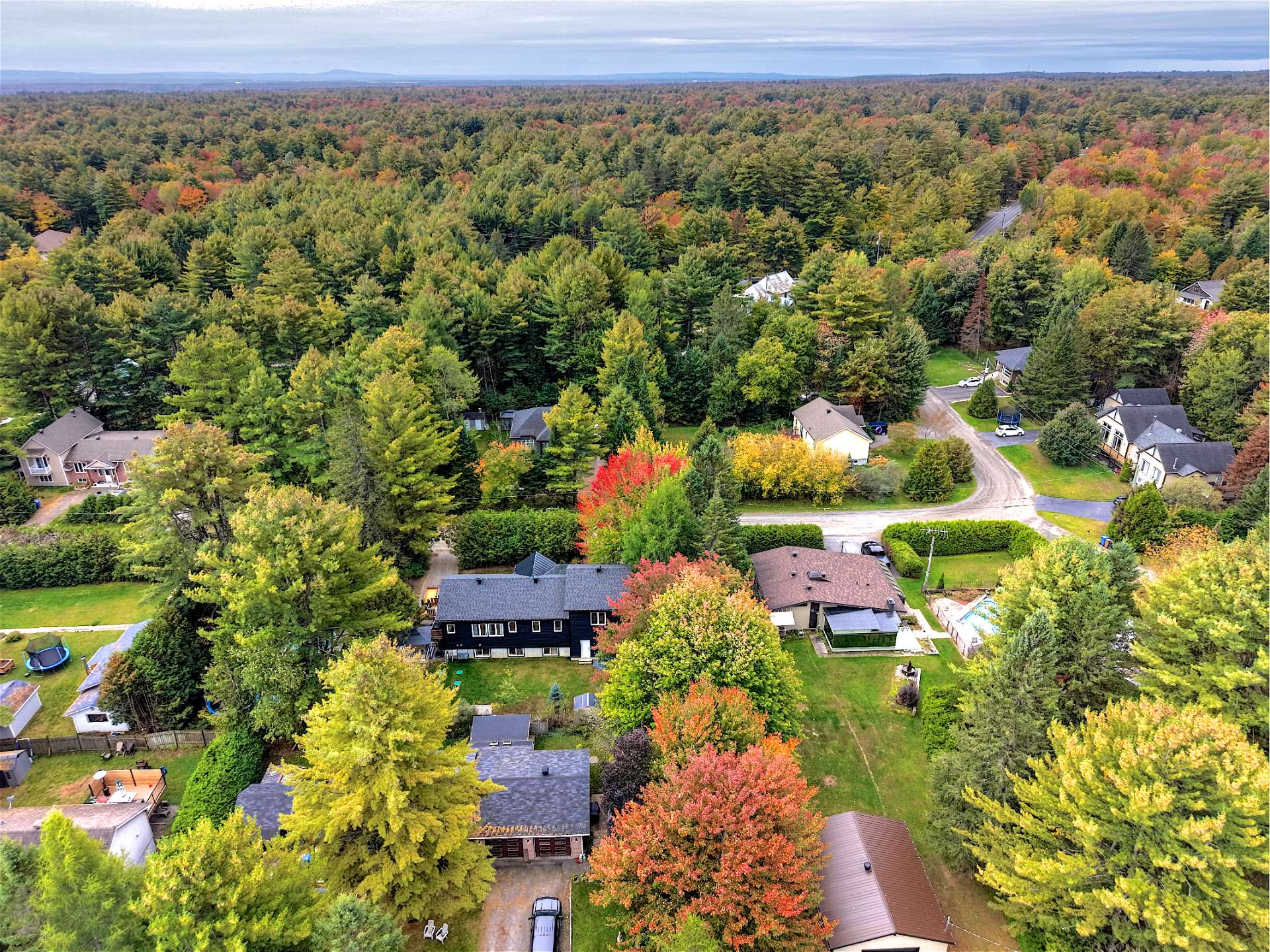 Aerial photo