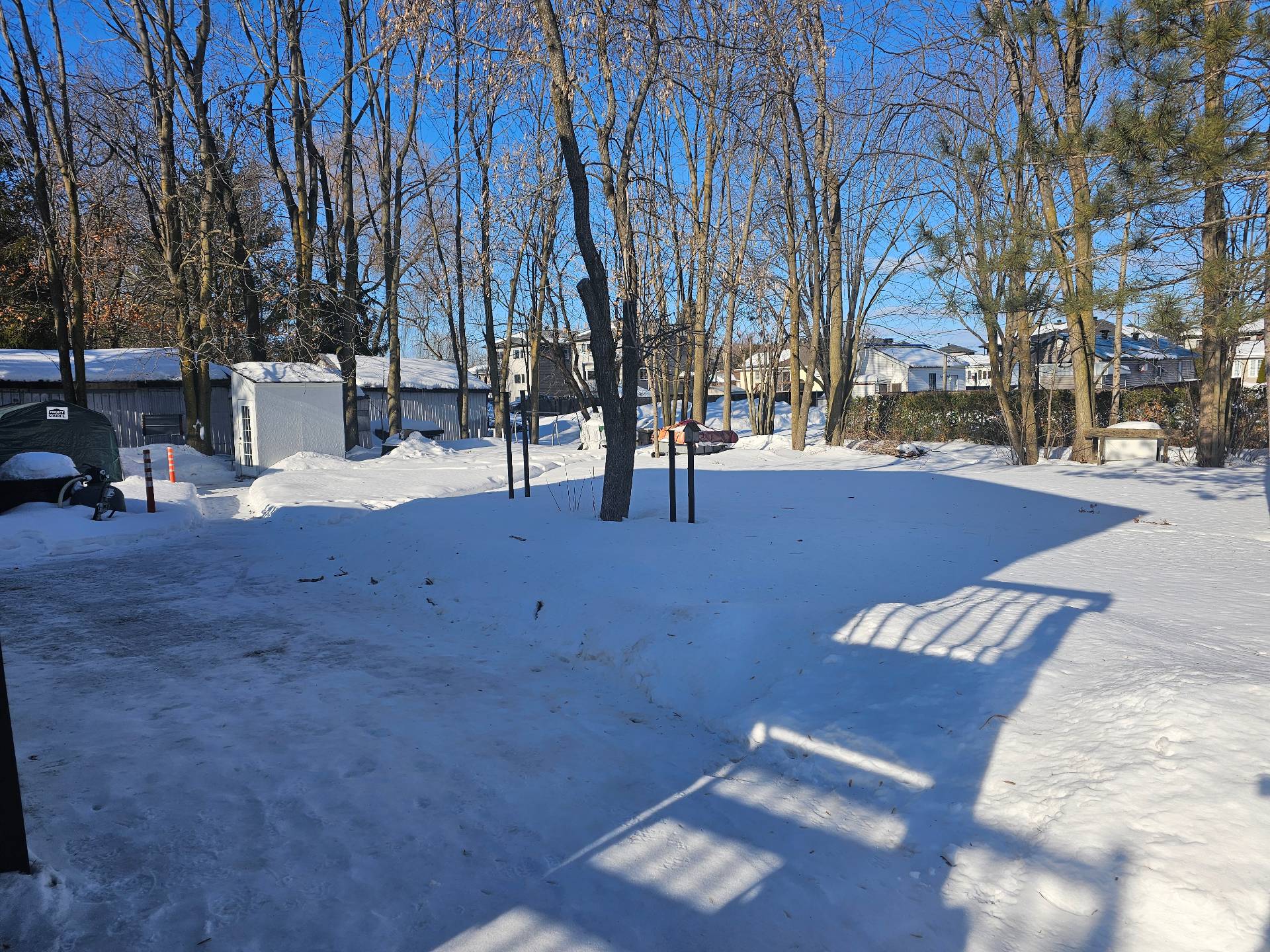 Backyard