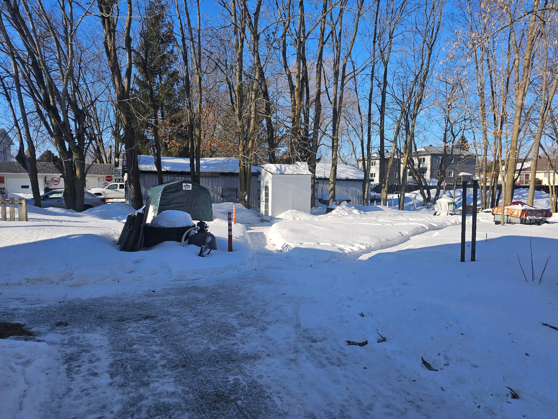 Backyard