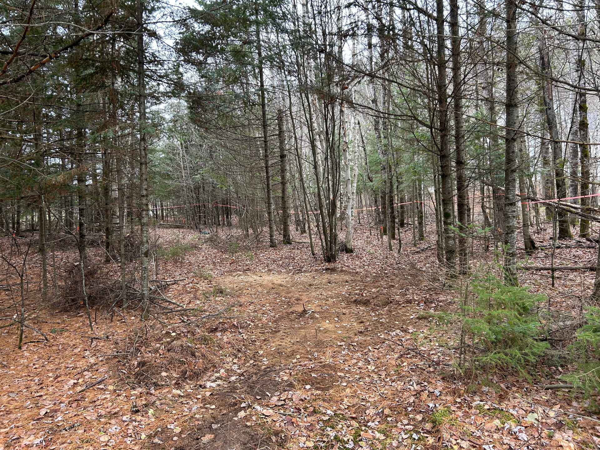 Land/Lot