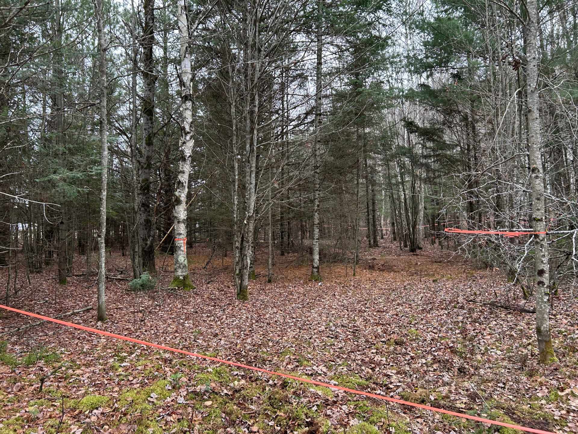 Land/Lot