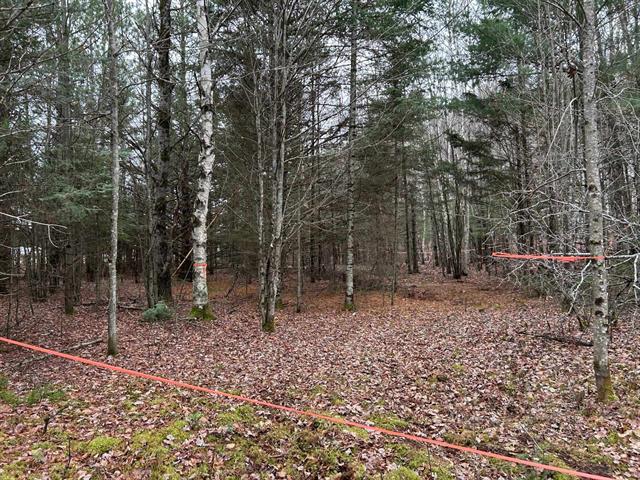 Land/Lot