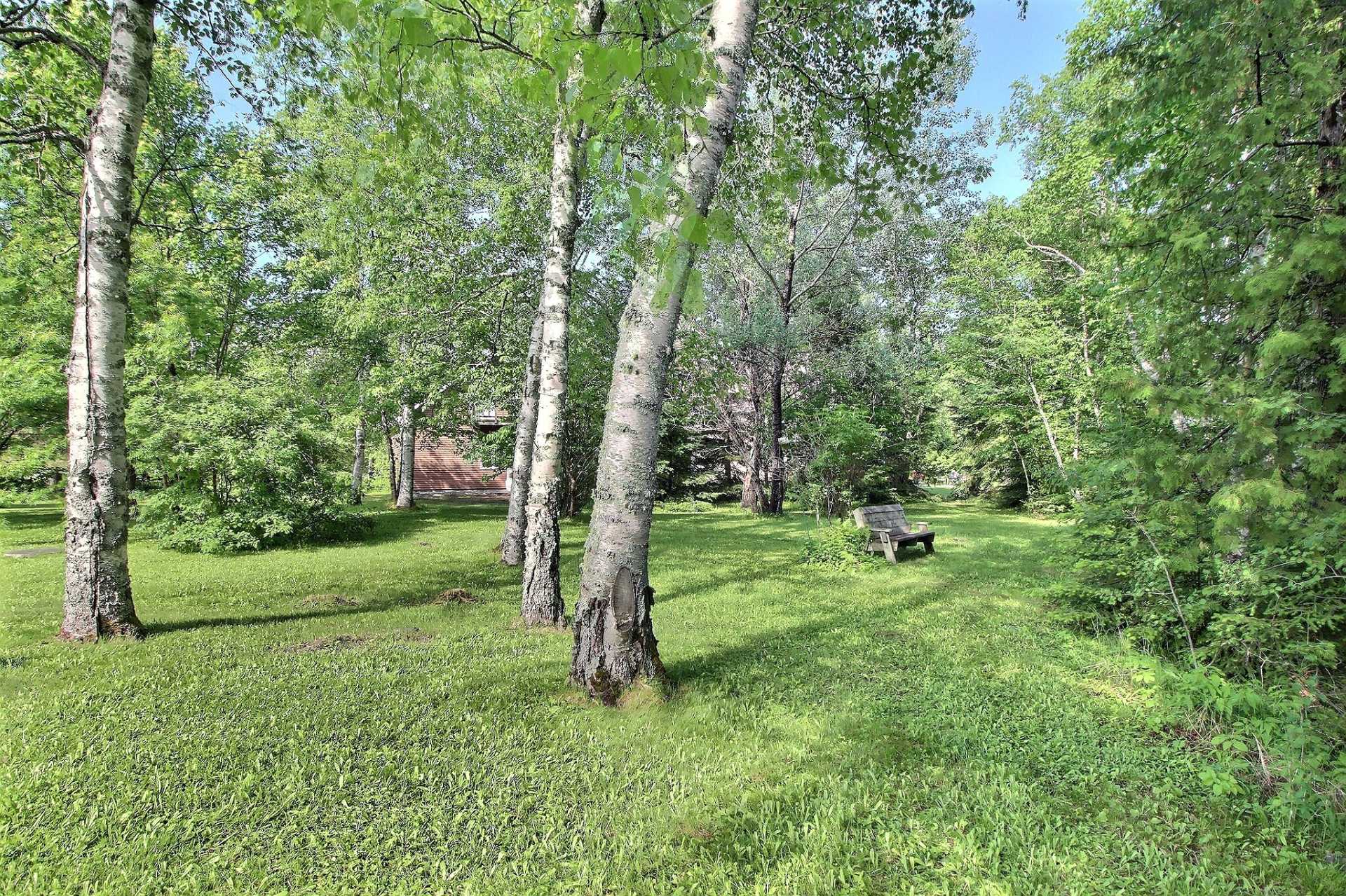 Land/Lot