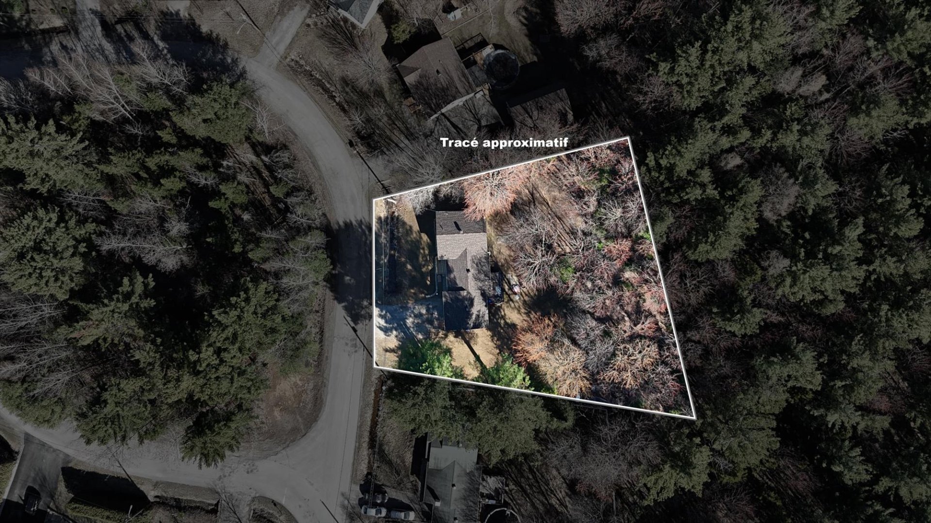 Aerial photo