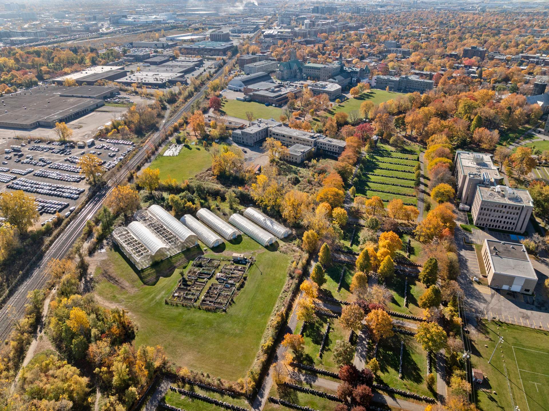 Aerial photo