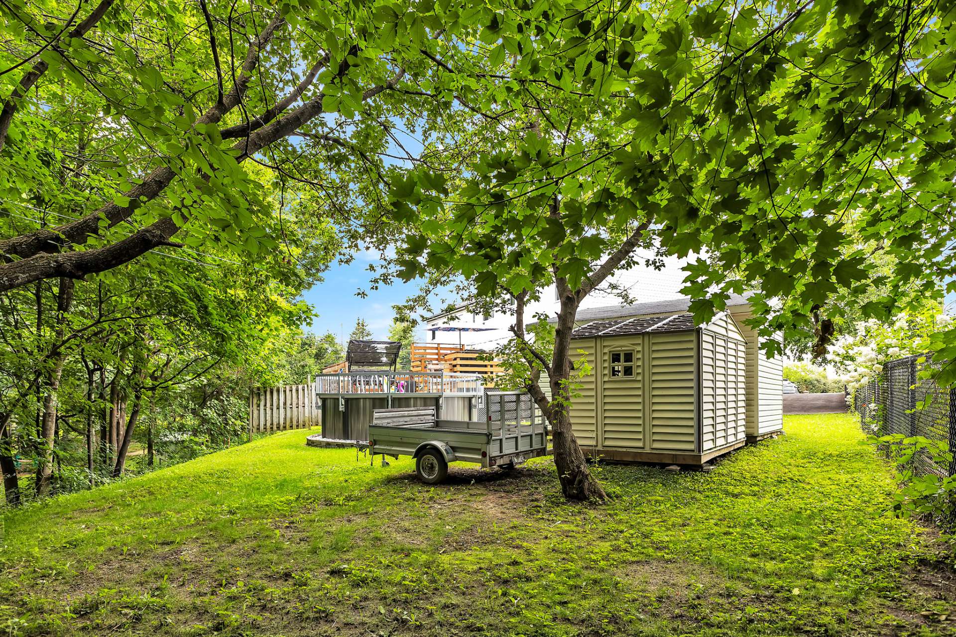 Backyard
