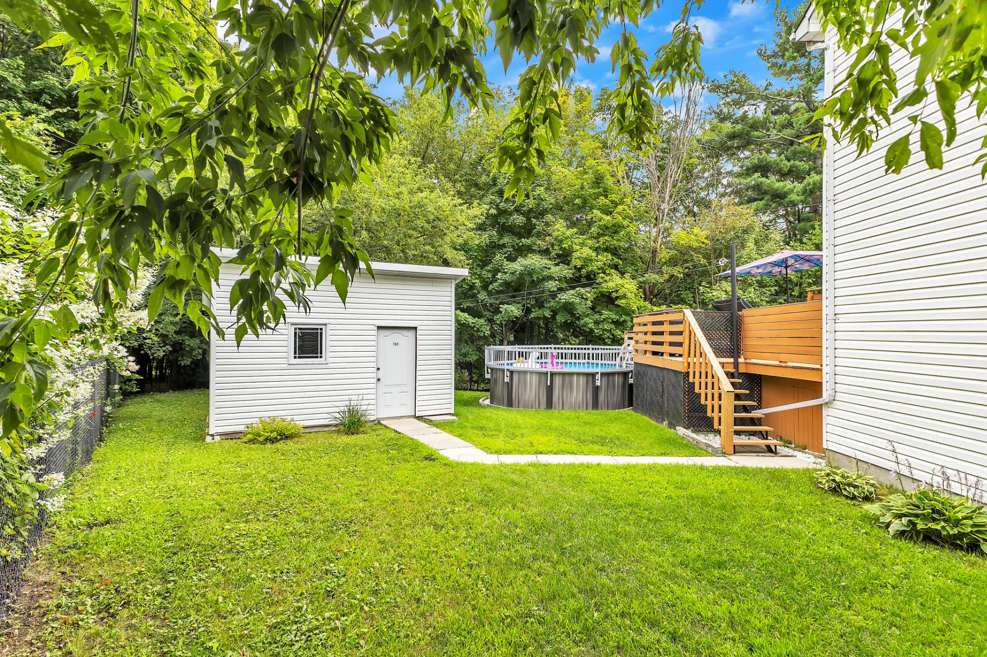 Backyard