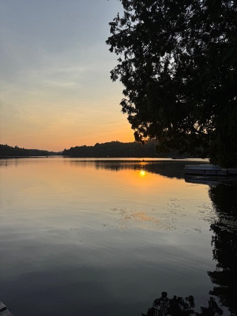 Vue sur l'eau