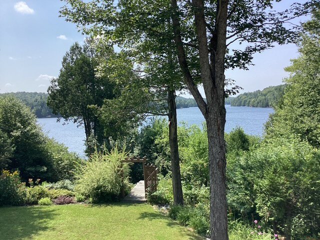 Vue sur l'eau