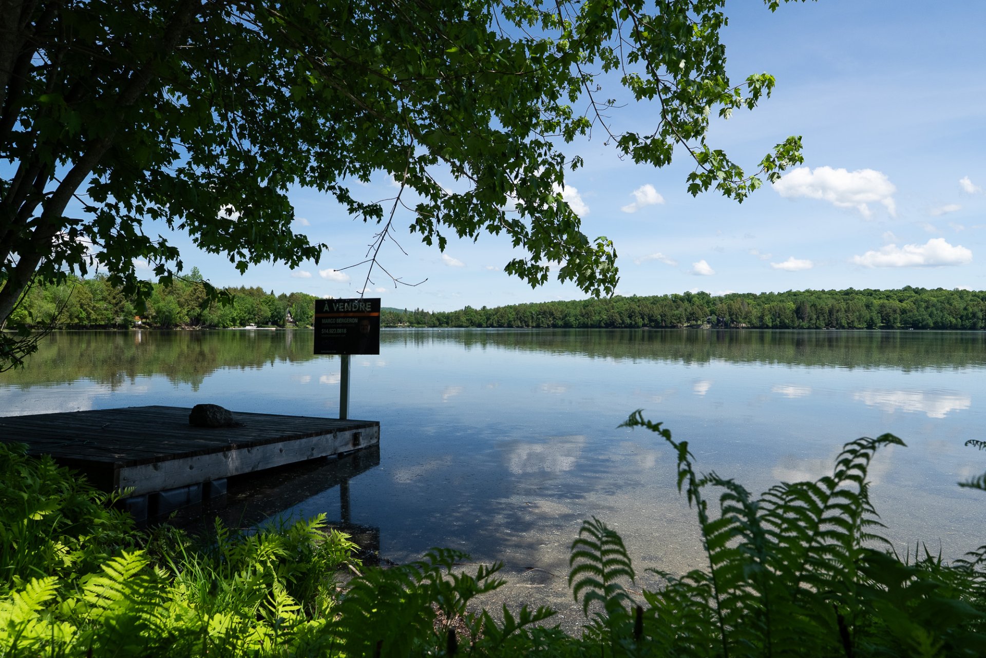 Vue sur l'eau