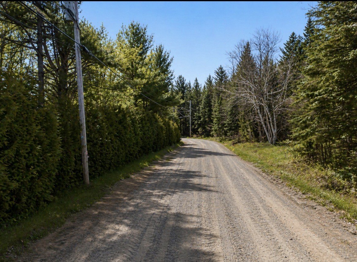 Street