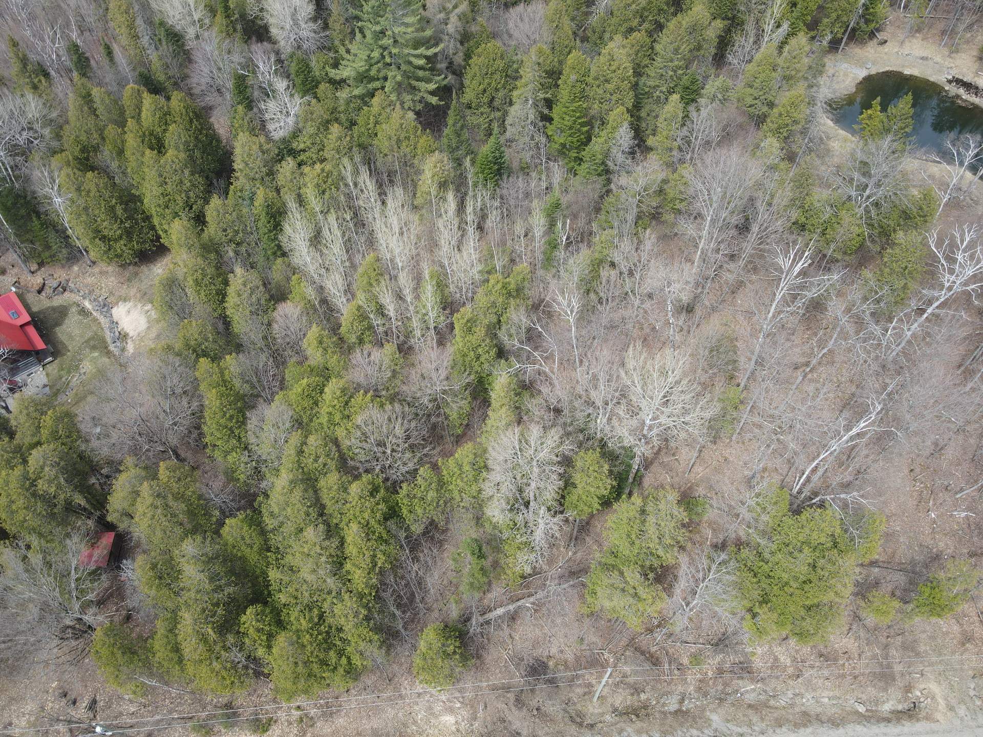 Overall View