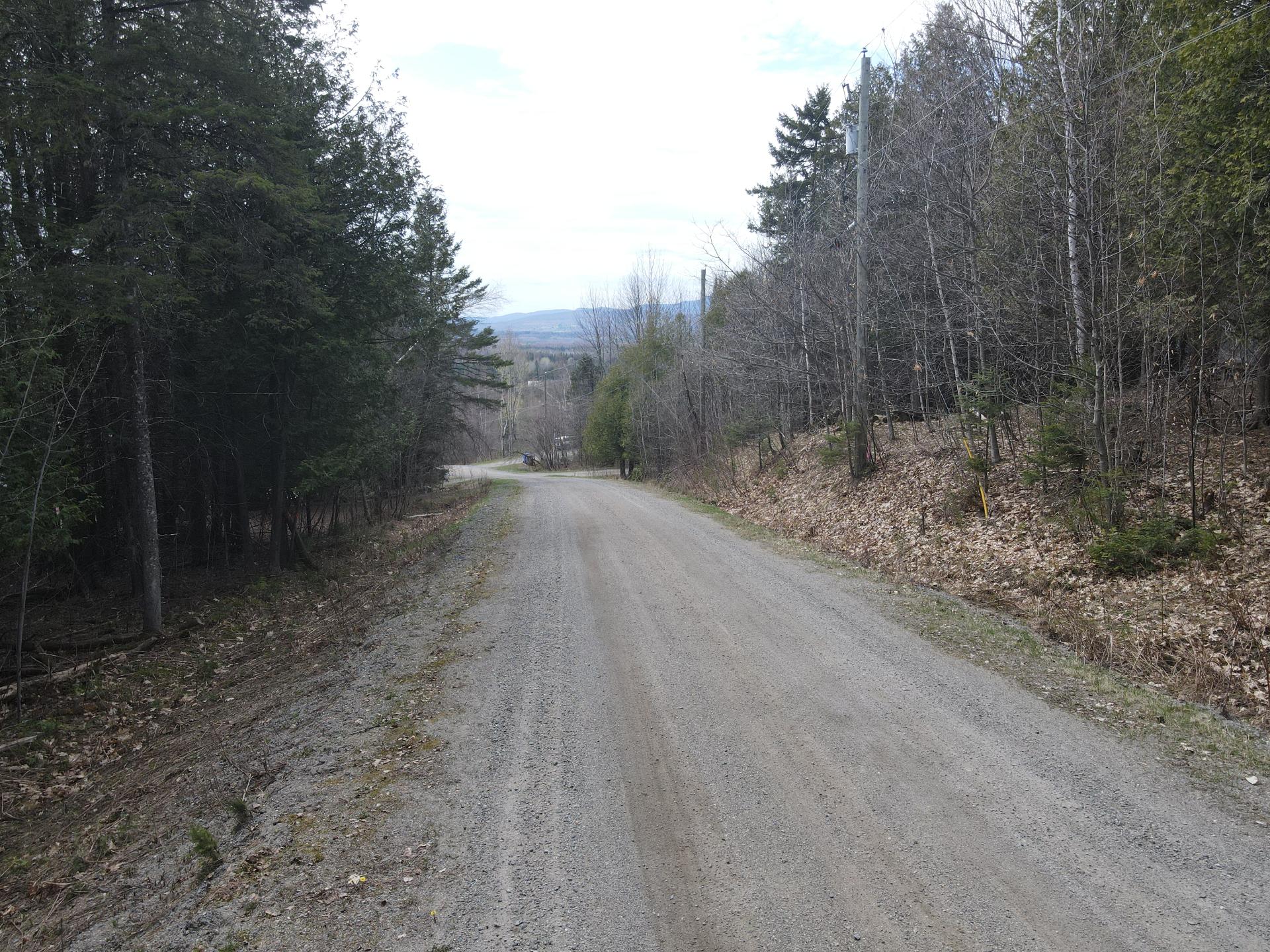 Overall View