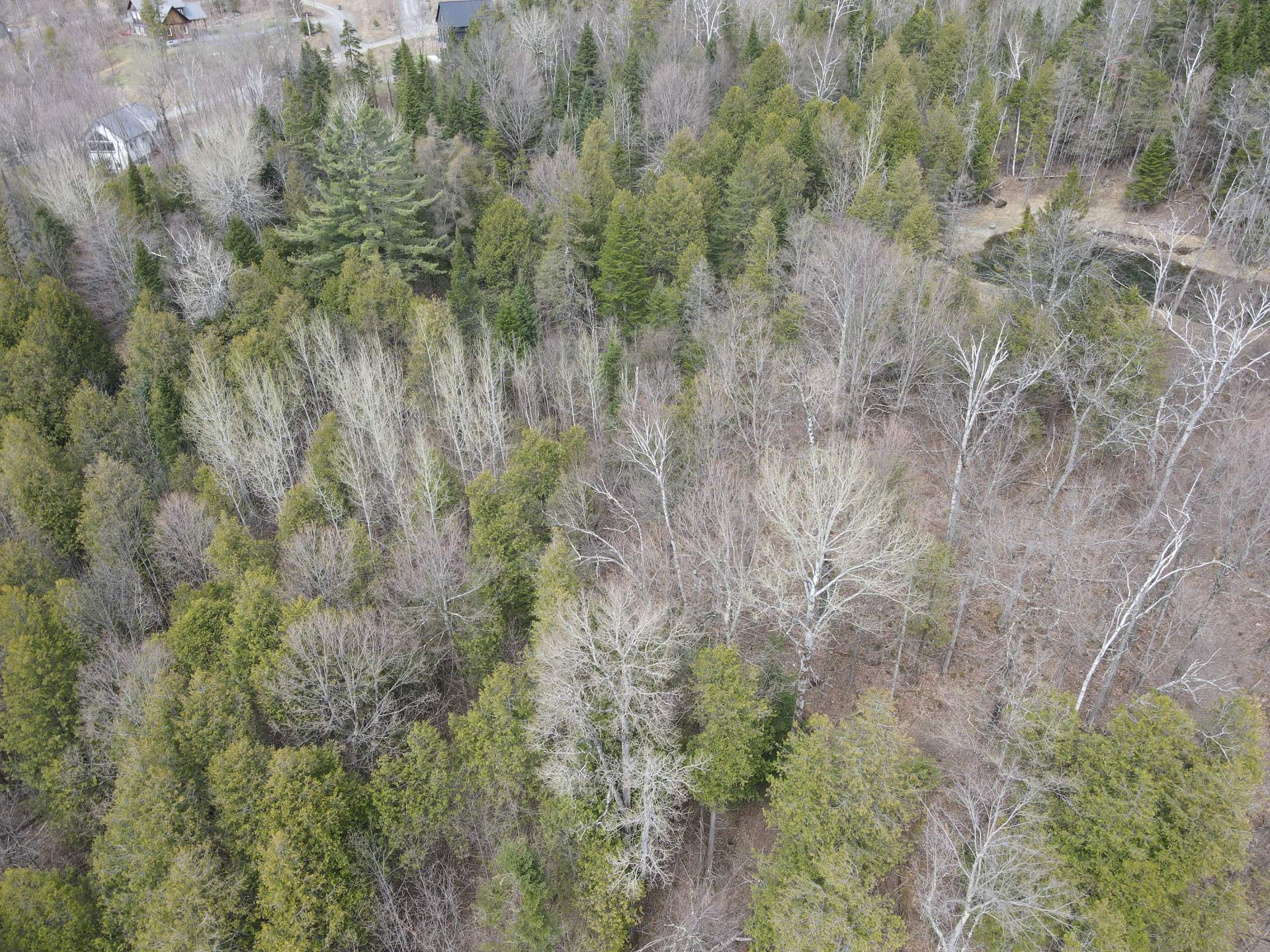 Overall View